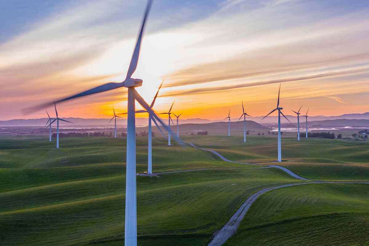 policies_03 https://www.spoonforlcsd.org/wp-content/uploads/2019/02/policies_03.jpg